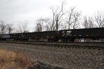 NS 201031